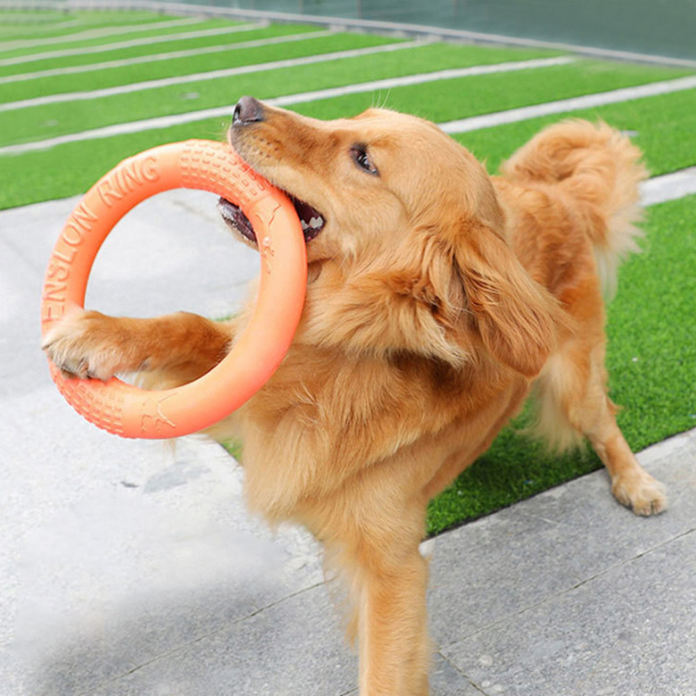 Indestructible Dog Chew Toy - 1pc orange Hundes pielzeug Haustier fliegende