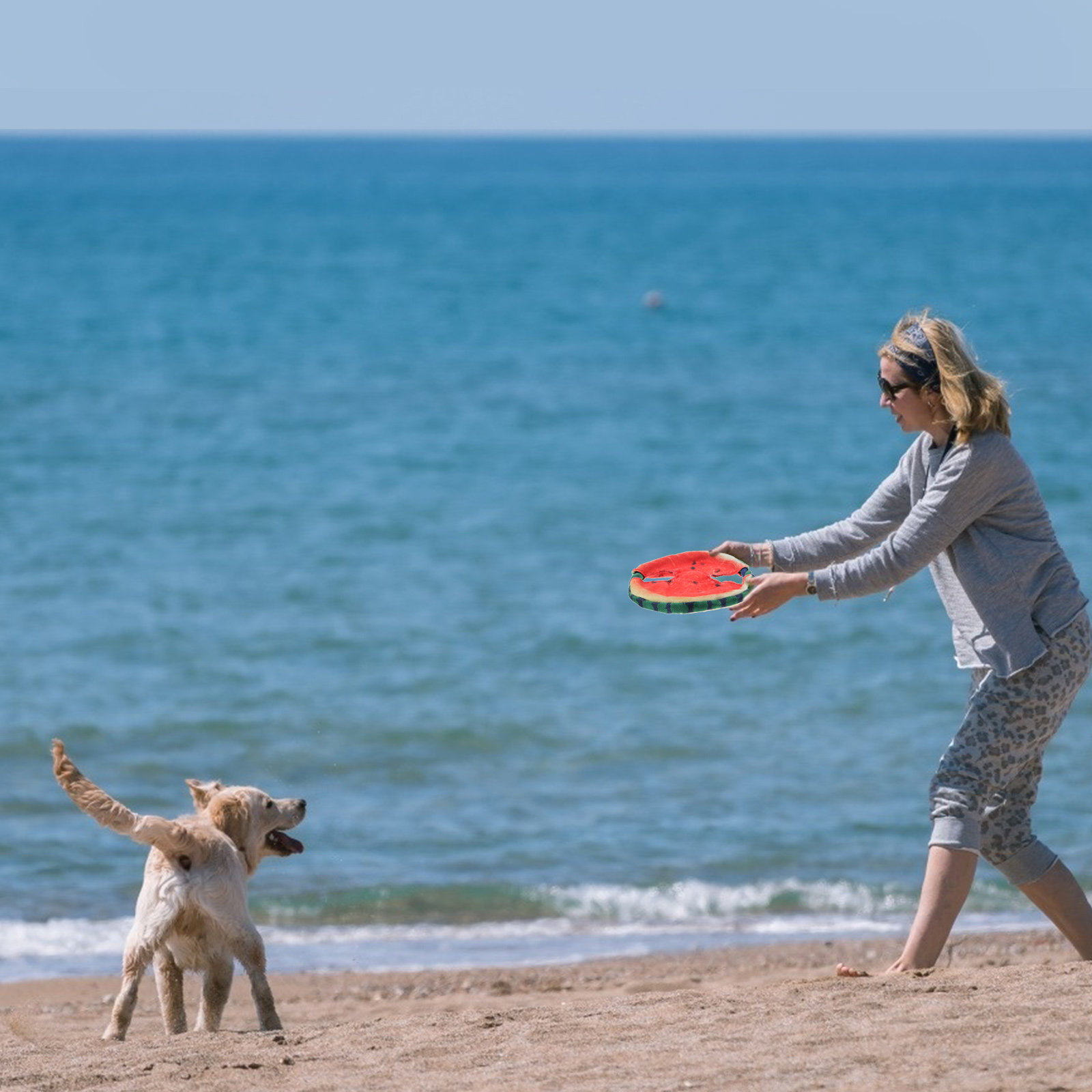 Flying Disc Dog Training Toy - Hunde-Flugscheibe mit schwimmendem Wassermelonen-Design, leichtes Haustier-Trainingsspielzeug