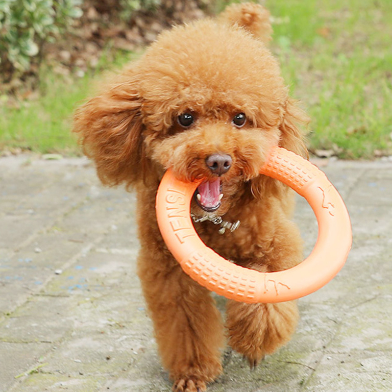 1pc orange Hundes pielzeug Hau – Indestructible Dog Chew Toy Bewertung und Preis