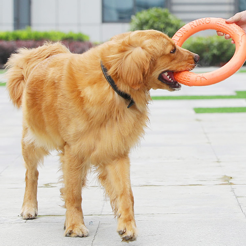 1pc orange Hundes pielzeug Hau – Indestructible Dog Chew Toy Bewertung und Preis