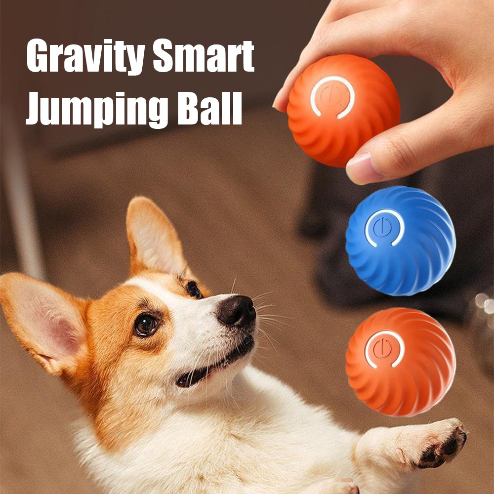 Neue 1pc Automatische Moving H – Automatic Moving Dog Ball Bewertung und Preis
