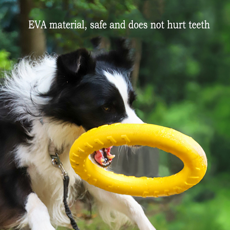 Langlebiges EVA-Hundespielzeug – Indestructible Dog Chew Toy Bewertung und Preis
