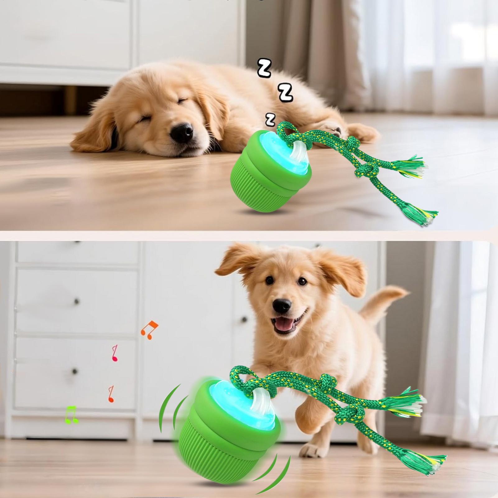 Interaktiver Hundeball, automa – Automatic Moving Dog Ball Bewertung und Preis