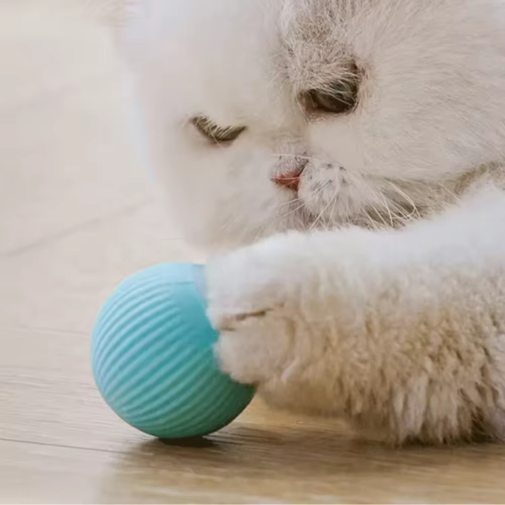 Automatischer beweglicher Ball – Automatic Moving Dog Ball Bewertung und Preis