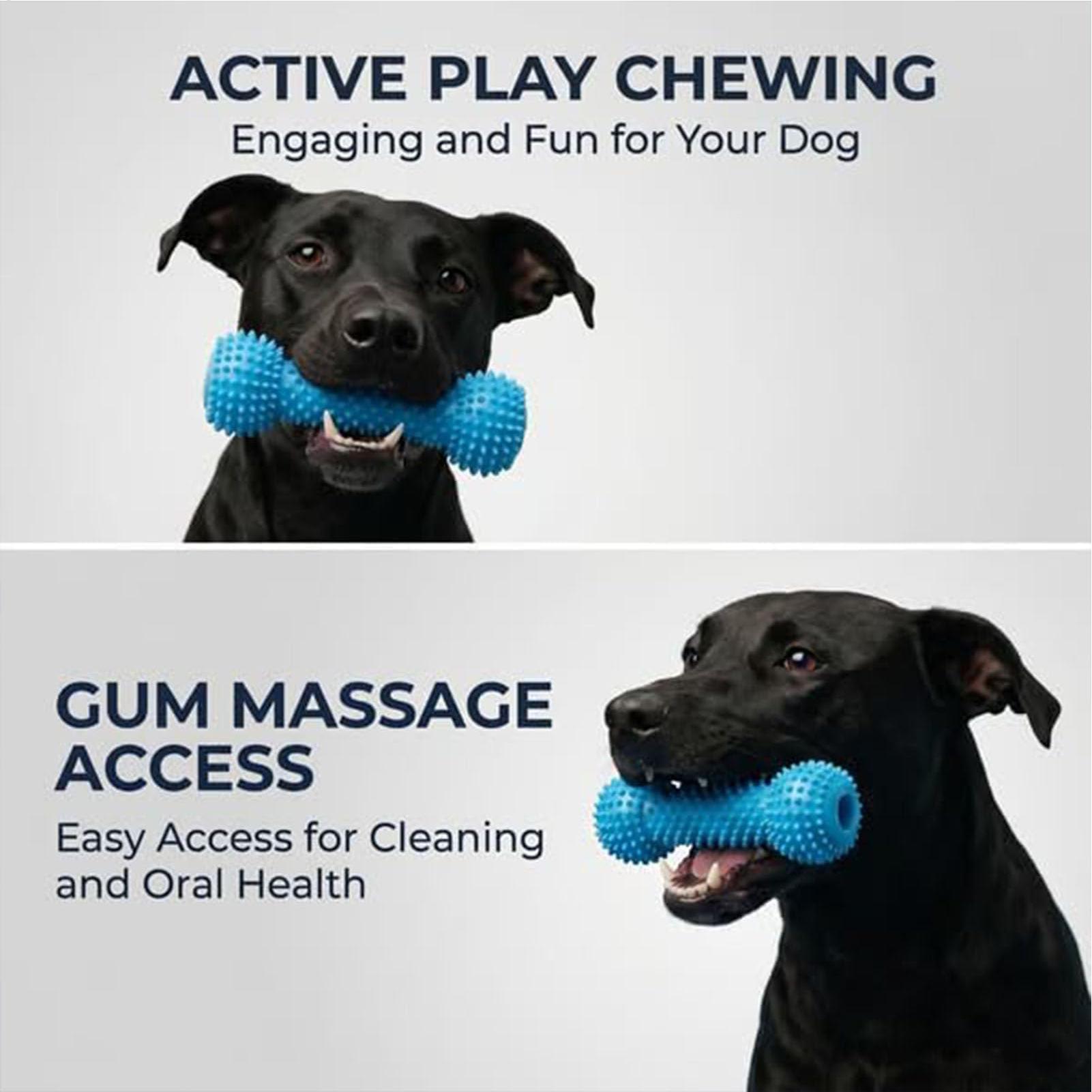 Hundezahnbürsten-Spielzeug, Ka – Rubber Treat Dispensing Dog Toy Bewertung und Preis
