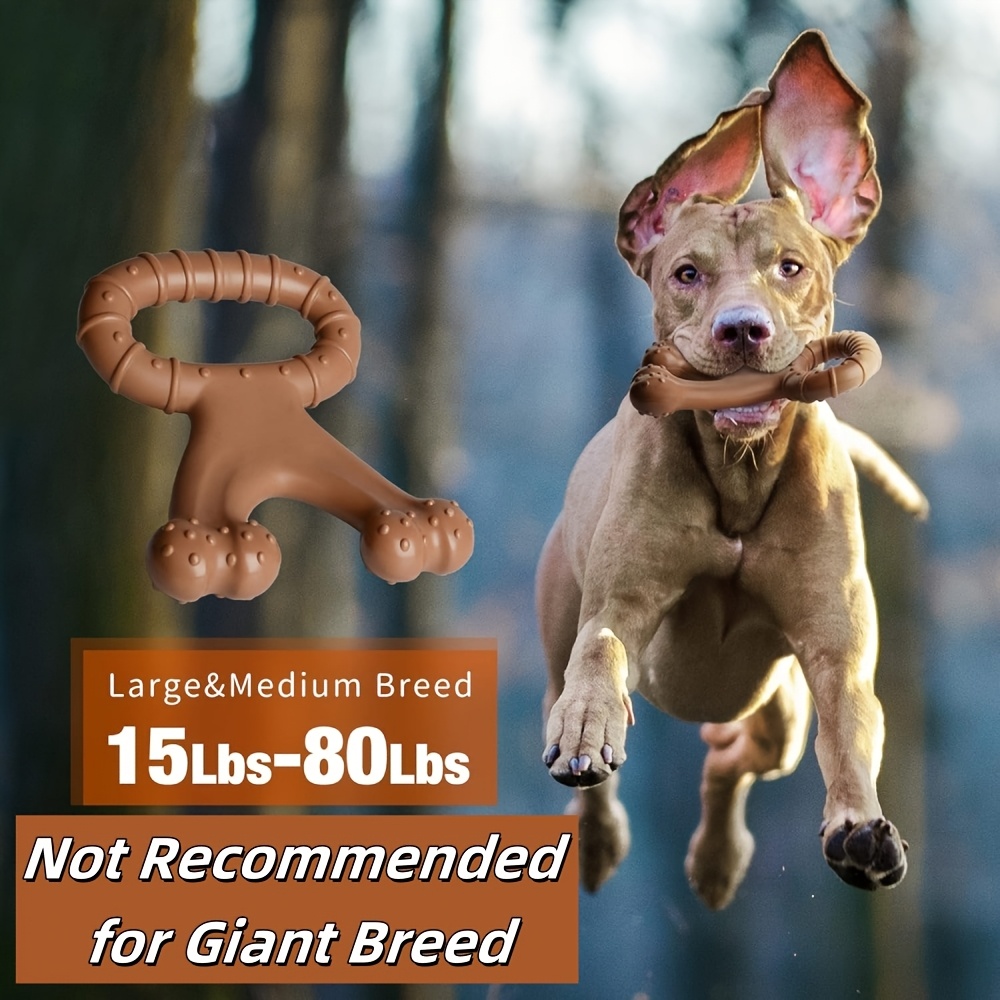 Kauspielzeug für Hunde, Traini – Teeth Cleaning Dog Chew Bone Bewertung und Preis