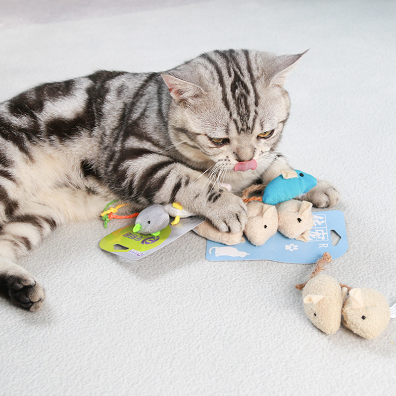 Katzenspielzeug Simulierte Plü – Catnip Interactive Plush Mouse Bewertung und Preis