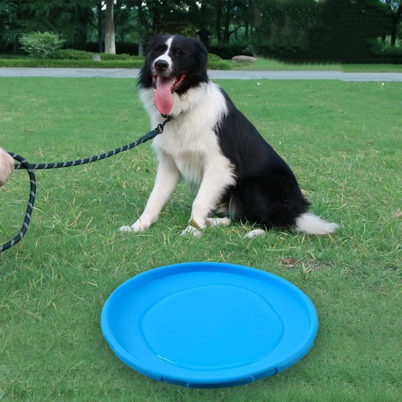 Interaktives Silikon-Flugunter – Flying Disc Dog Training Toy Bewertung und Preis