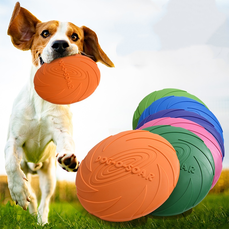 Interaktives Silikon-Flugunter – Flying Disc Dog Training Toy Bewertung und Preis