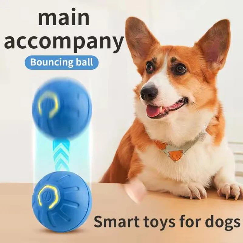 Intelligenter Interaktiver Hau – Automatic Moving Dog Ball Bewertung und Preis