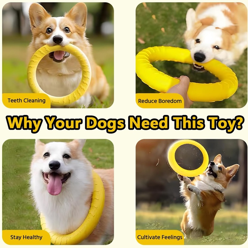 Hundespielzeug, Fliegende Sche – Flying Disc Dog Training Toy Bewertung und Preis