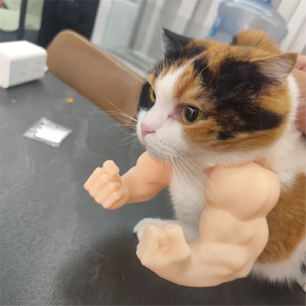 NEU Katzen-Muskelarm-Anhänger, – Cat Toys Bewertung und Preis