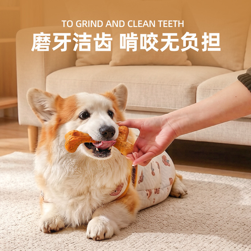 Hundespielzeug TPR Langlebiges – Teeth Cleaning Dog Chew Bone Bewertung und Preis