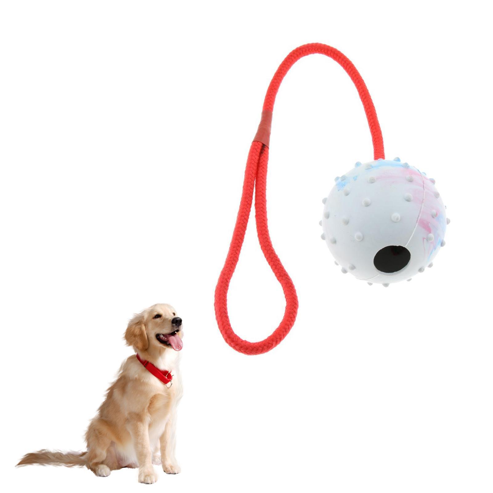 Haustier-Trainingsspielzeug We – Rubber Treat Dispensing Dog Toy Bewertung und Preis